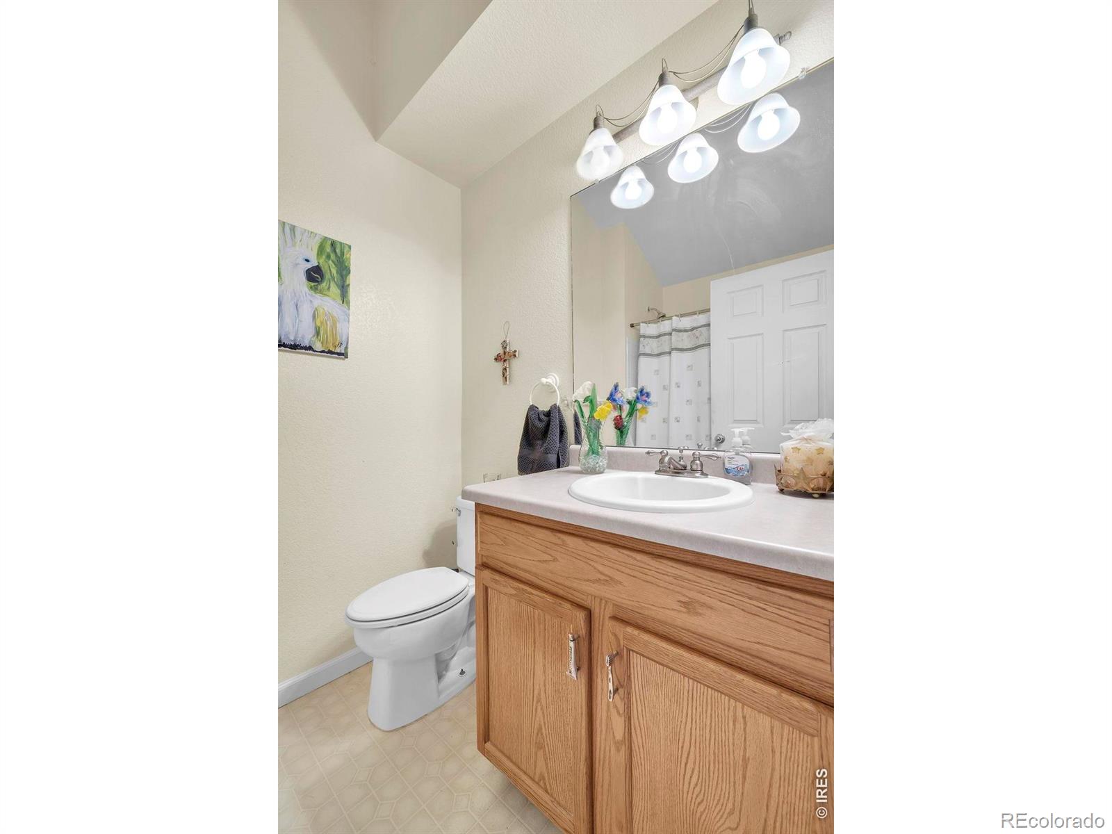 MLS Image #19 for 12175  cherrywood street,broomfield, Colorado