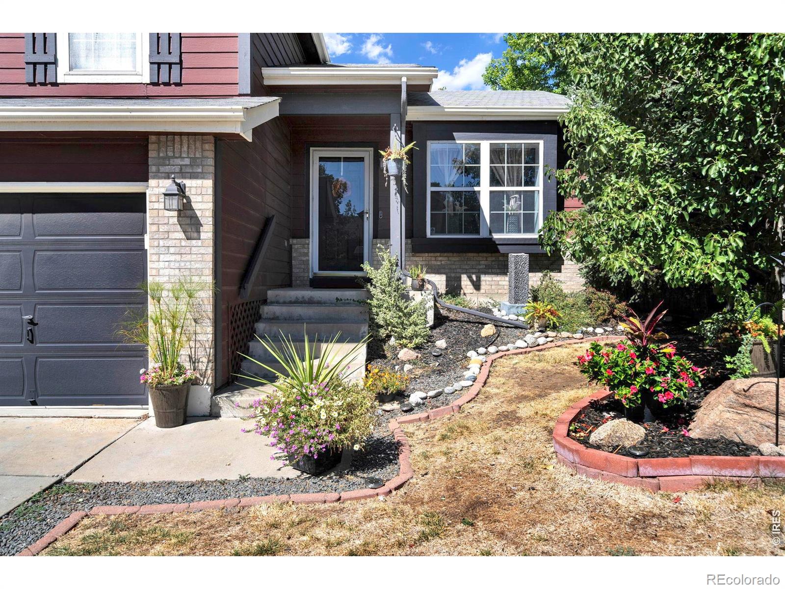 MLS Image #2 for 12175  cherrywood street,broomfield, Colorado