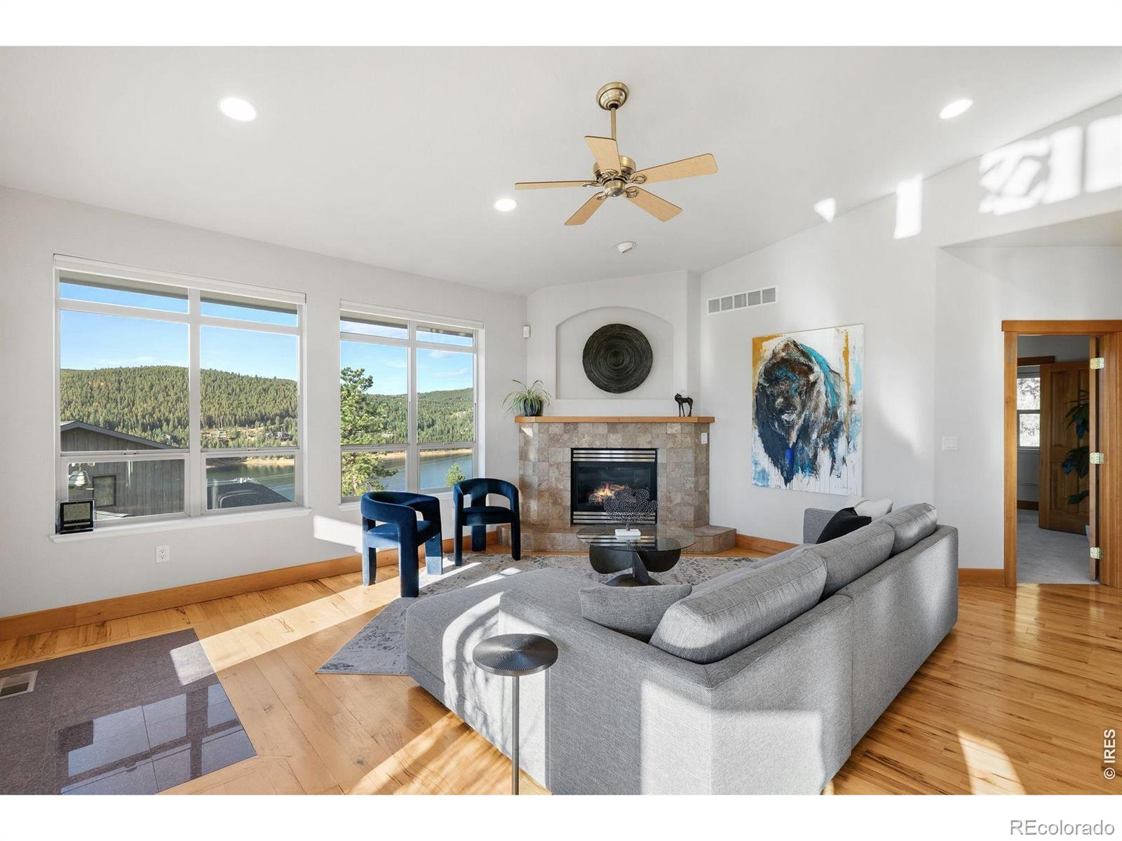 MLS Image #13 for 131  hurricane hill drive,nederland, Colorado