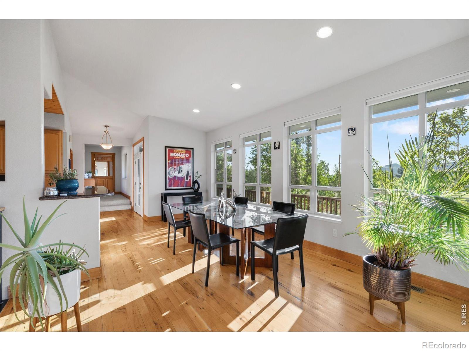 MLS Image #16 for 131  hurricane hill drive,nederland, Colorado