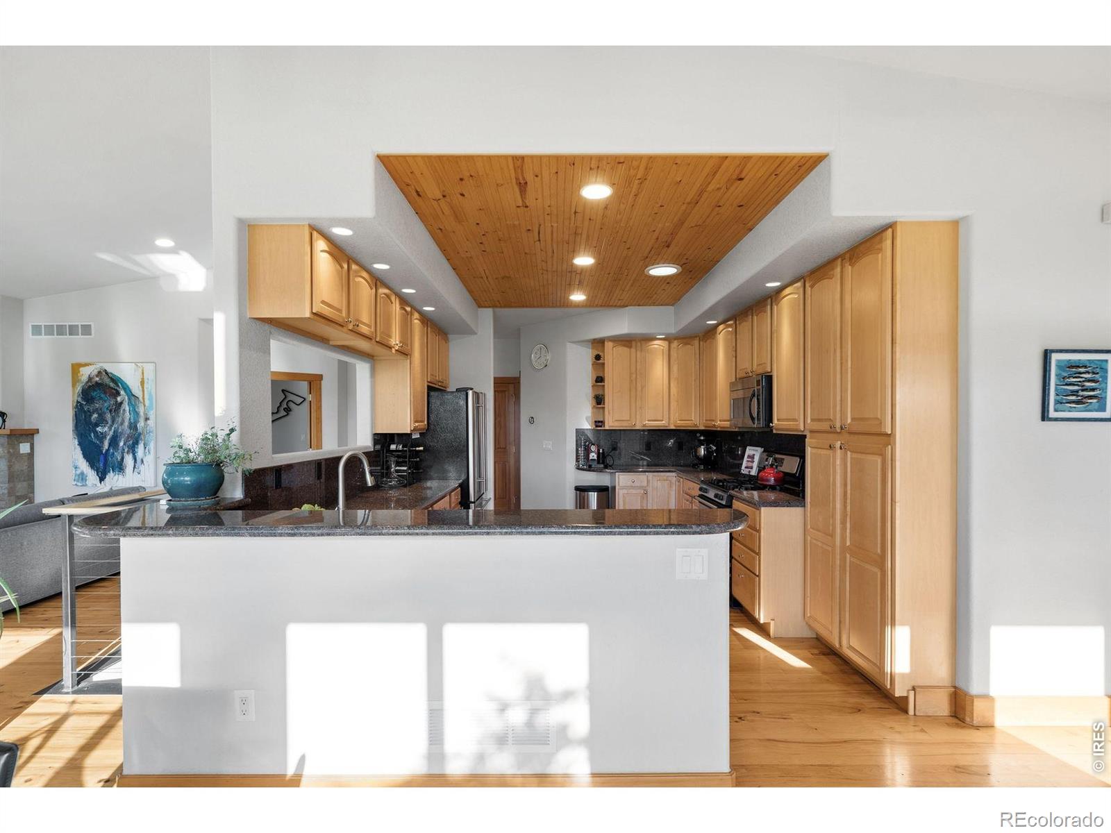 MLS Image #19 for 131  hurricane hill drive,nederland, Colorado