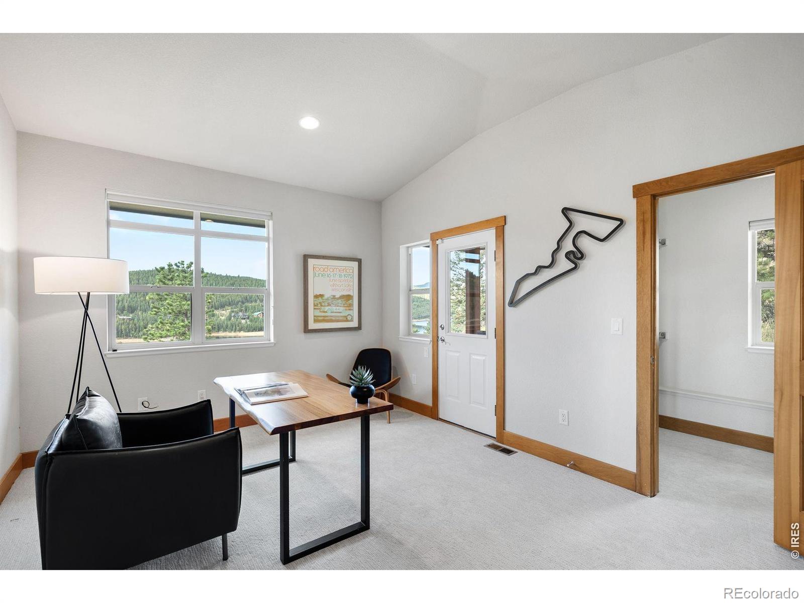 MLS Image #20 for 131  hurricane hill drive,nederland, Colorado