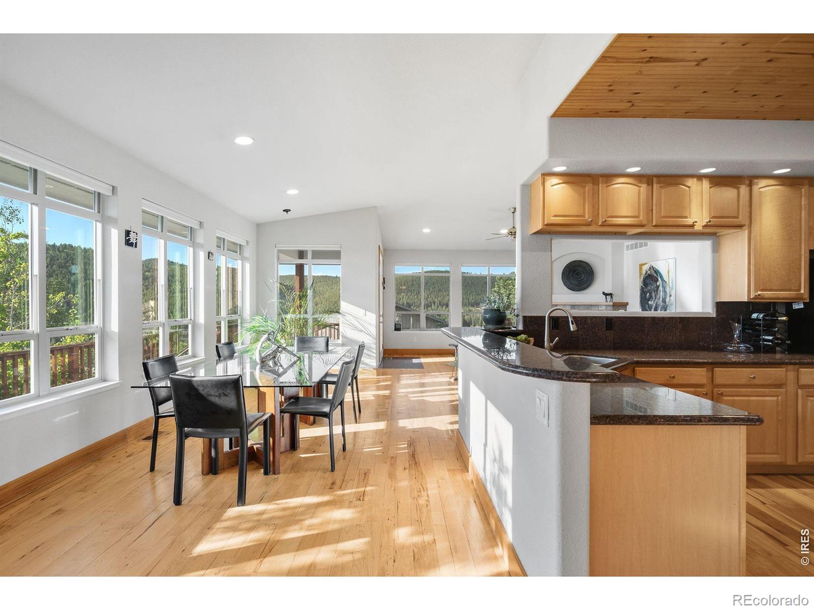 MLS Image #21 for 131  hurricane hill drive,nederland, Colorado