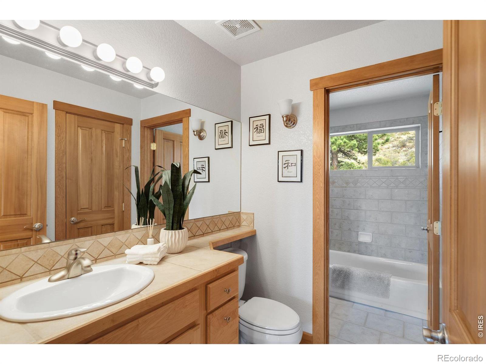 MLS Image #22 for 131  hurricane hill drive,nederland, Colorado