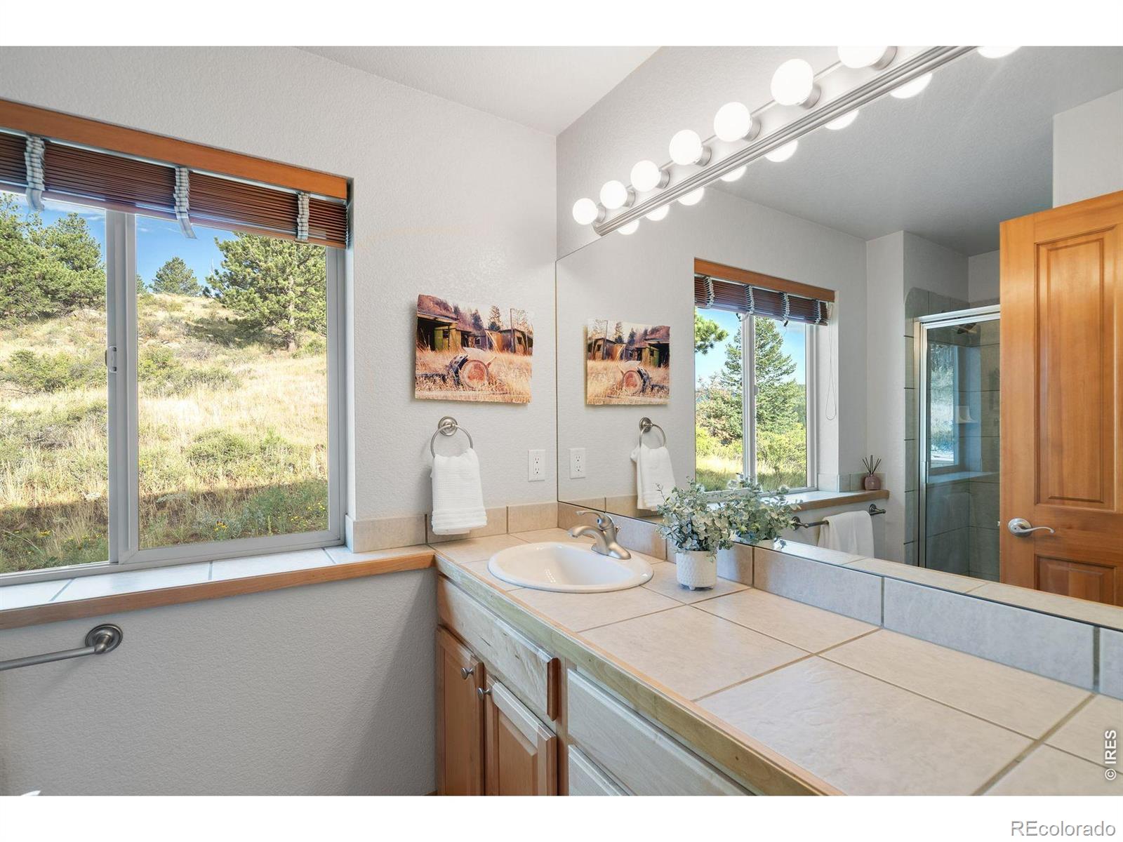 MLS Image #23 for 131  hurricane hill drive,nederland, Colorado