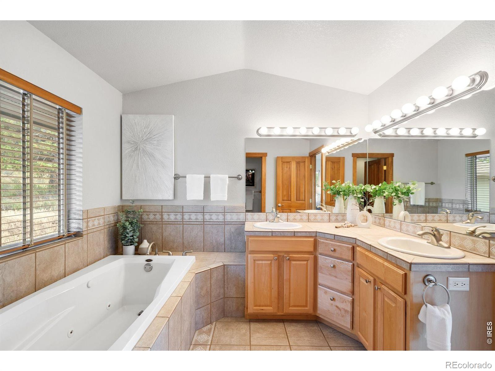 MLS Image #28 for 131  hurricane hill drive,nederland, Colorado