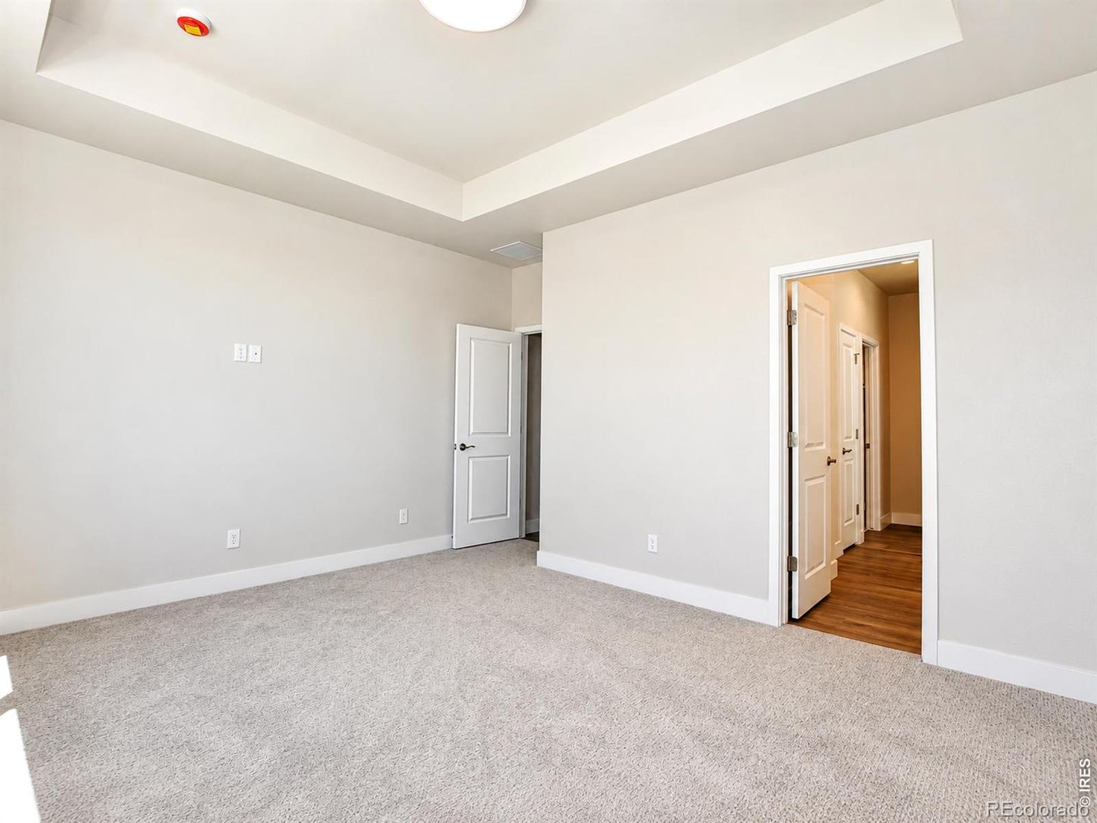 MLS Image #19 for 2894  donatello street,loveland, Colorado