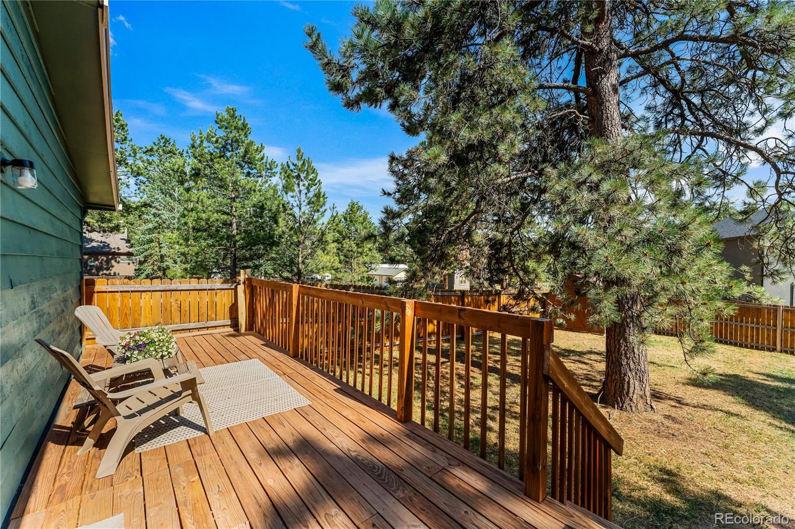 MLS Image #11 for 300 s fairview street,woodland park, Colorado