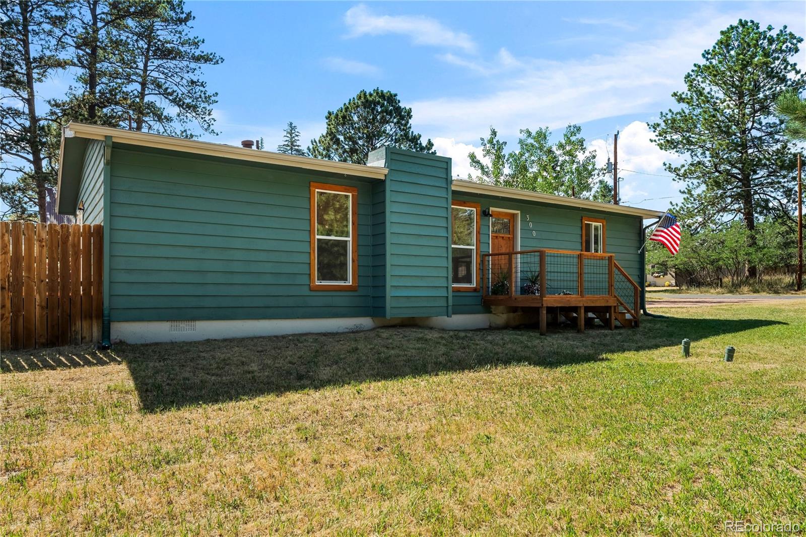 MLS Image #8 for 300 s fairview street,woodland park, Colorado