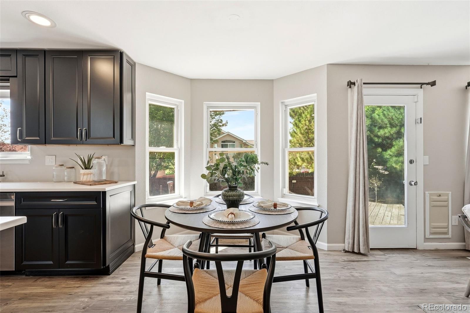 MLS Image #16 for 4590  squirreltail drive,colorado springs, Colorado