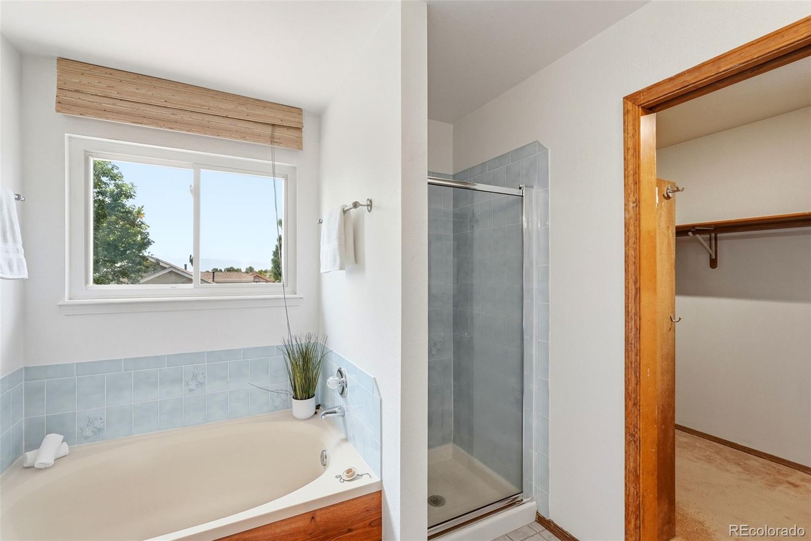 MLS Image #30 for 4590  squirreltail drive,colorado springs, Colorado