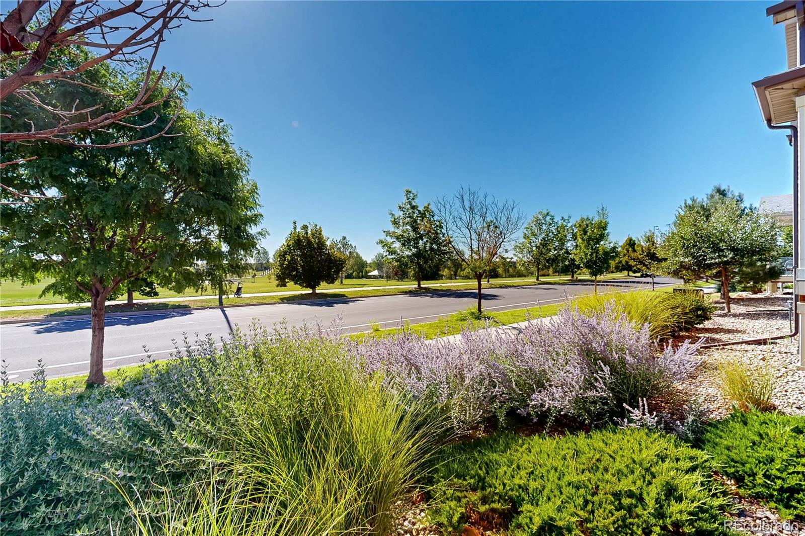 MLS Image #12 for 5038 n andes way,denver, Colorado