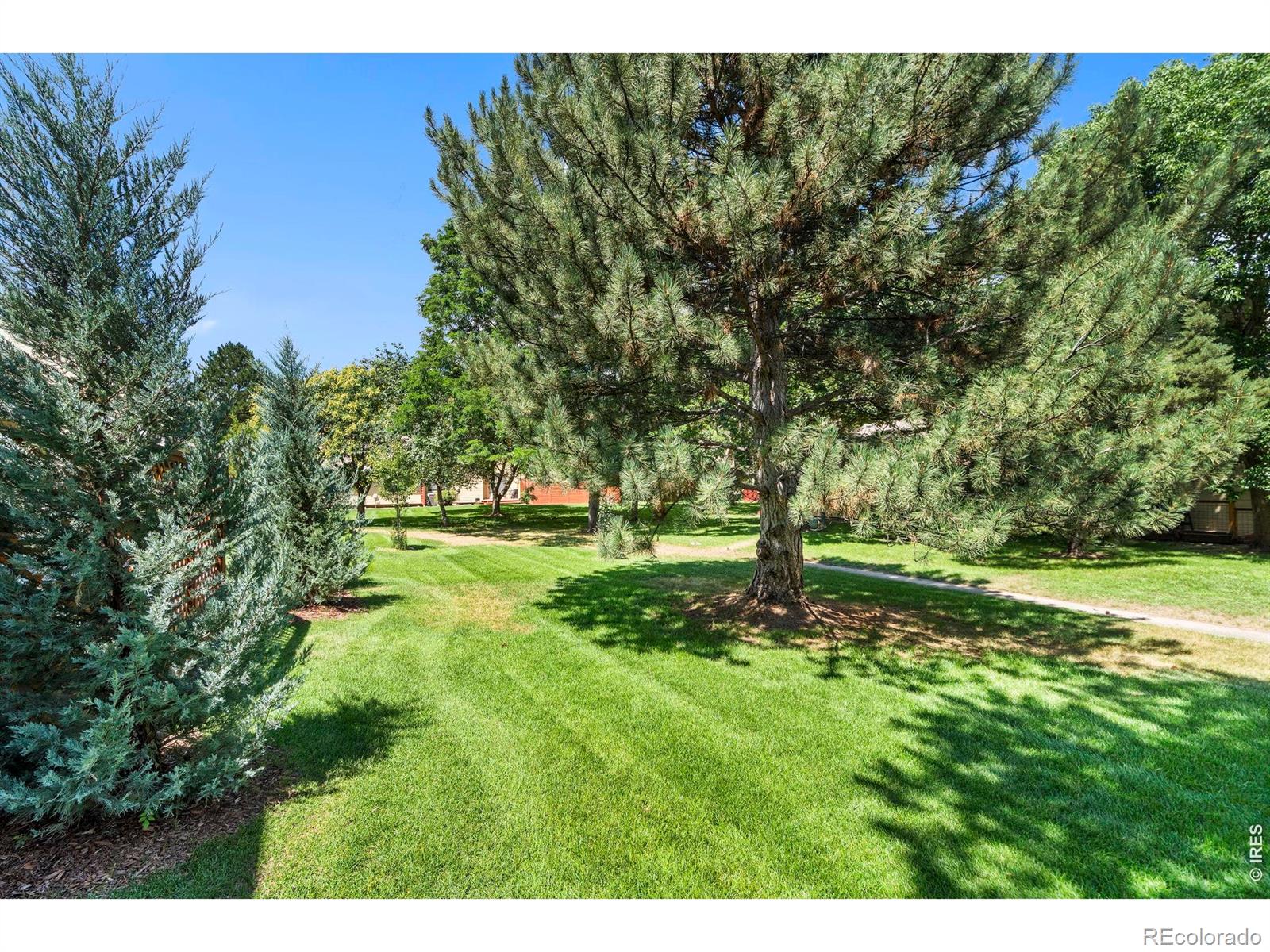 MLS Image #31 for 966  shire court,fort collins, Colorado