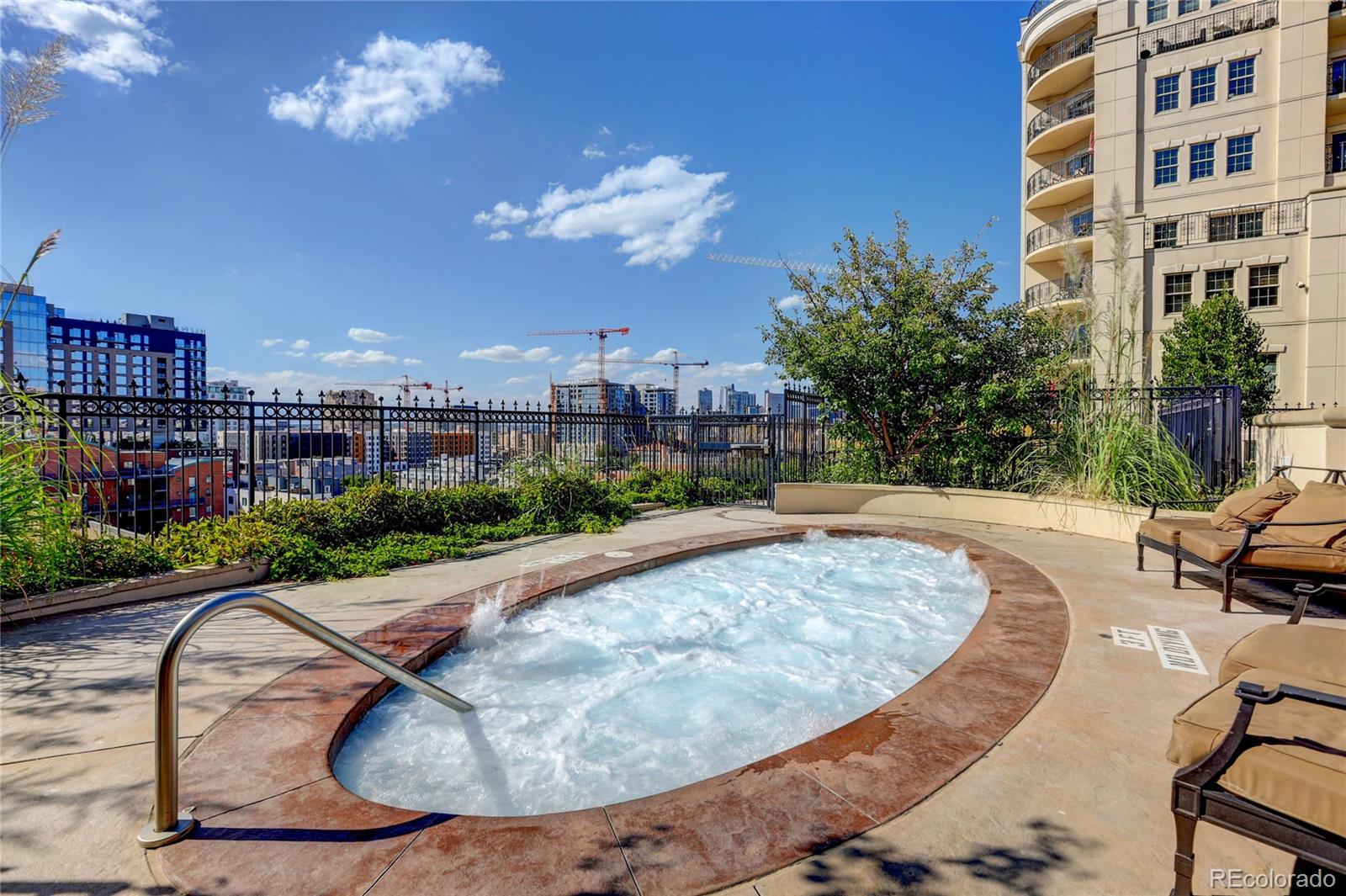 MLS Image #8 for 925 n lincoln street,denver, Colorado
