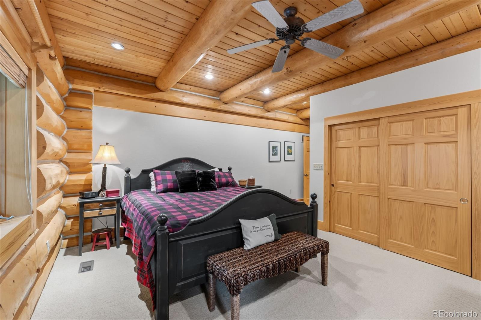 MLS Image #16 for 124  yarrow lane,dillon, Colorado