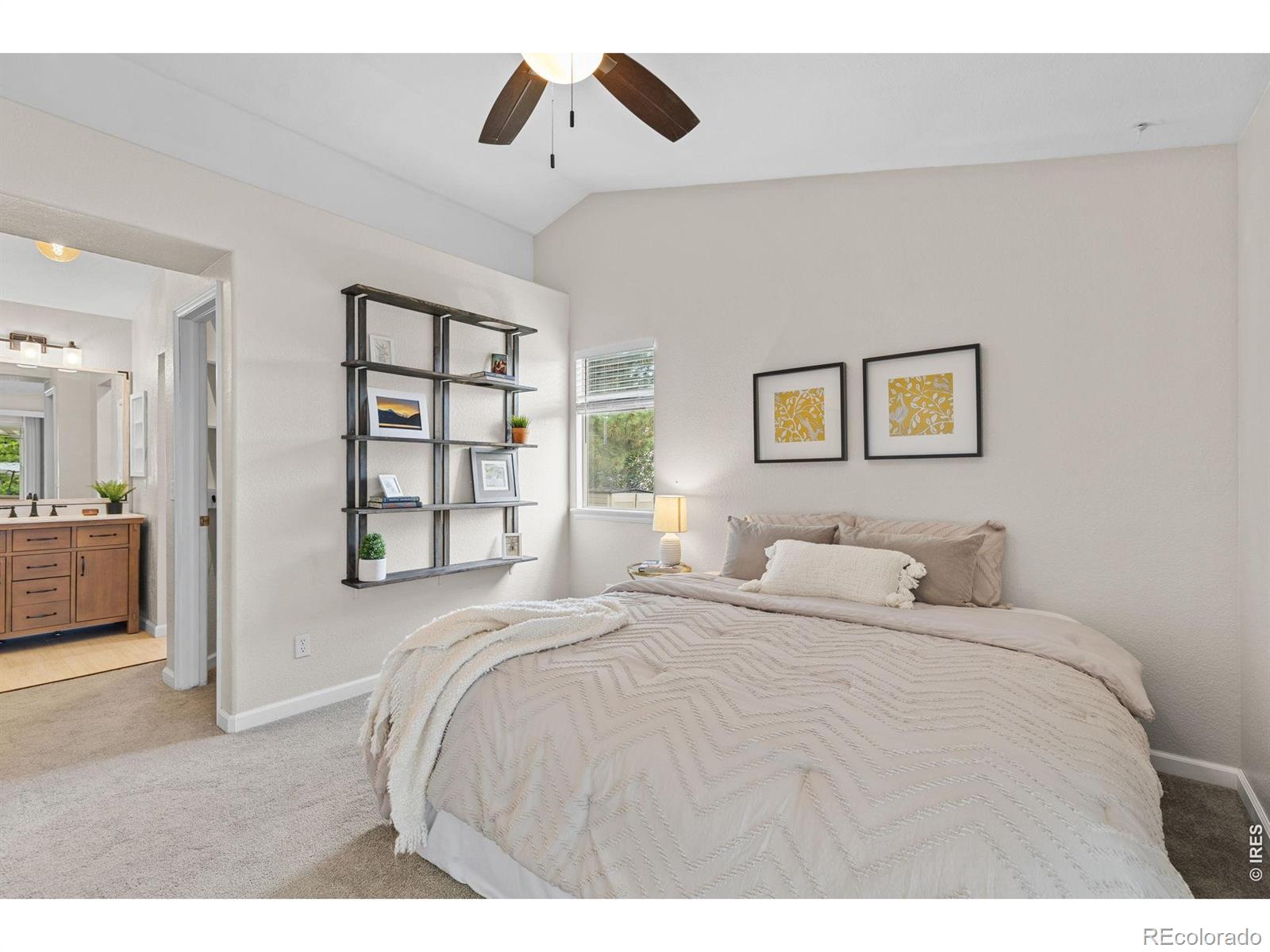 MLS Image #16 for 9712  queenscliffe drive,highlands ranch, Colorado
