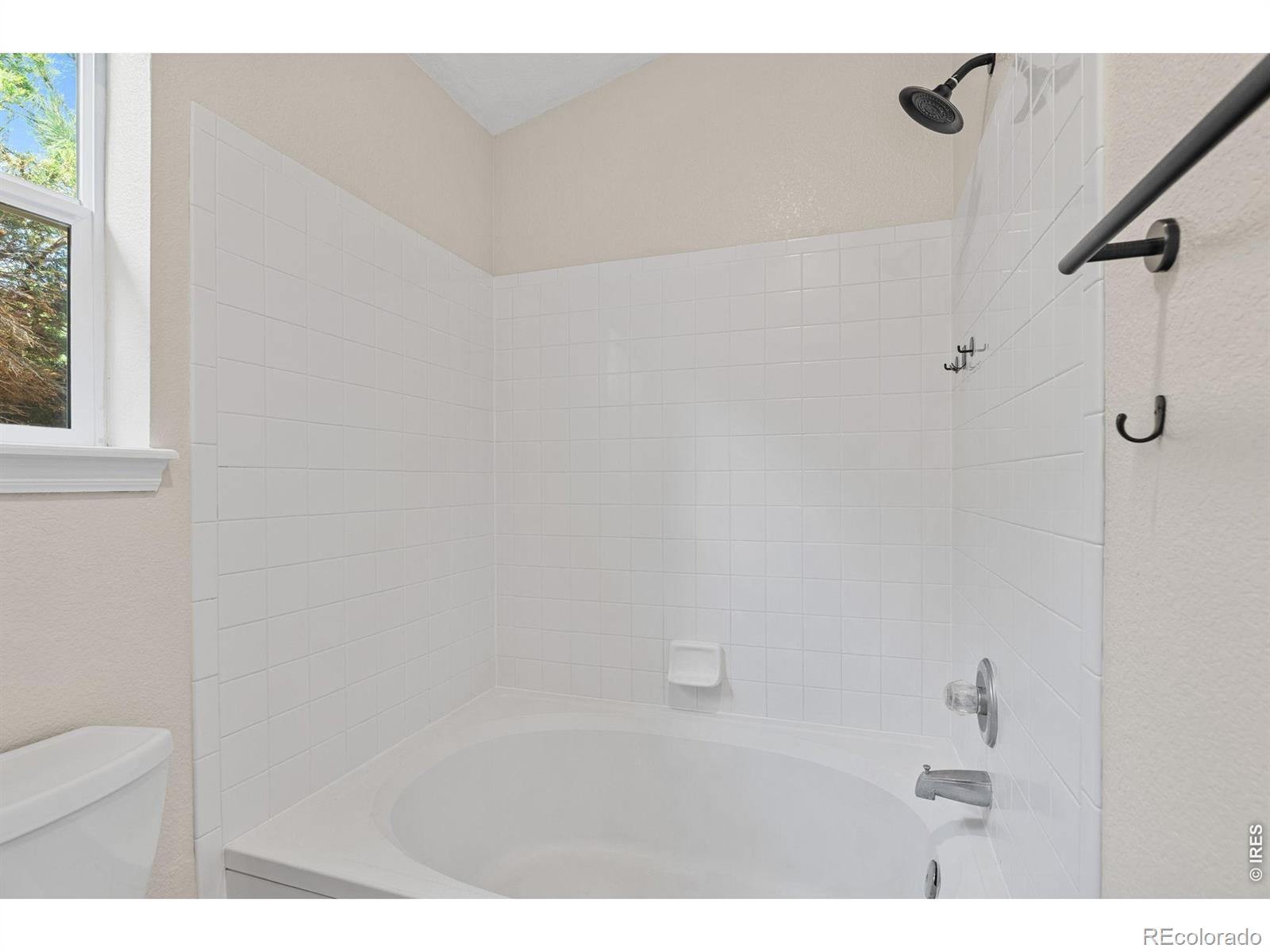 MLS Image #21 for 9712  queenscliffe drive,highlands ranch, Colorado