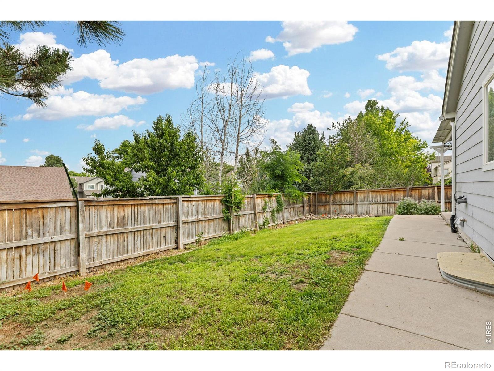 MLS Image #38 for 9712  queenscliffe drive,highlands ranch, Colorado