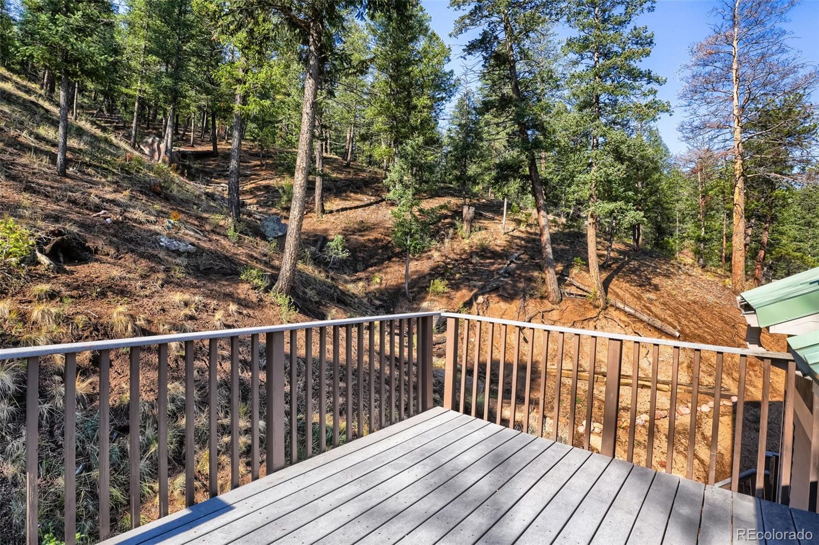 MLS Image #15 for 9899  overlook road,sedalia, Colorado