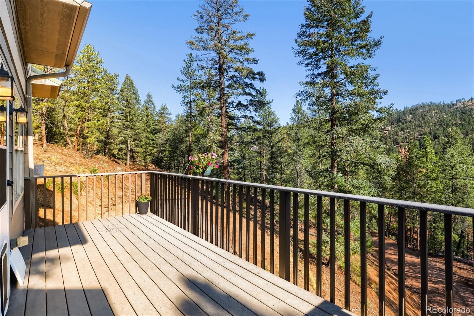 MLS Image #6 for 9899  overlook road,sedalia, Colorado