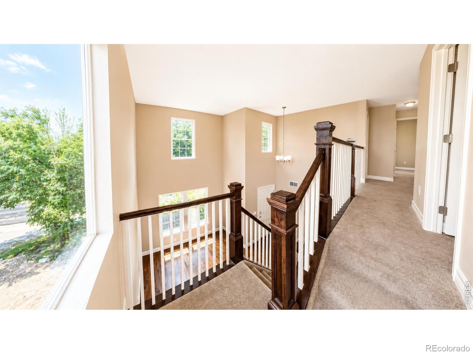 MLS Image #17 for 2123 e 100th place,thornton, Colorado