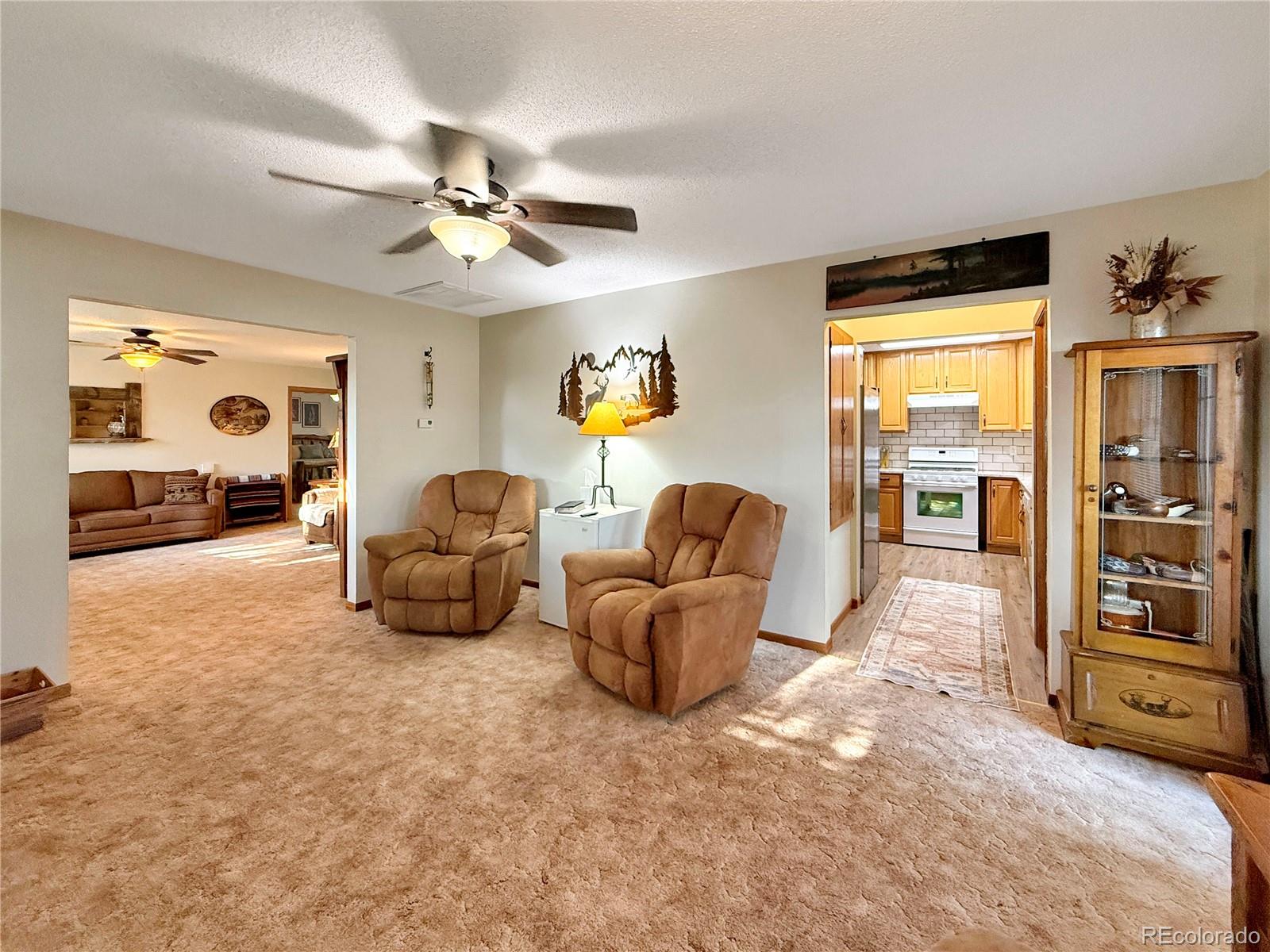 MLS Image #19 for 528  julian avenue,flagler, Colorado
