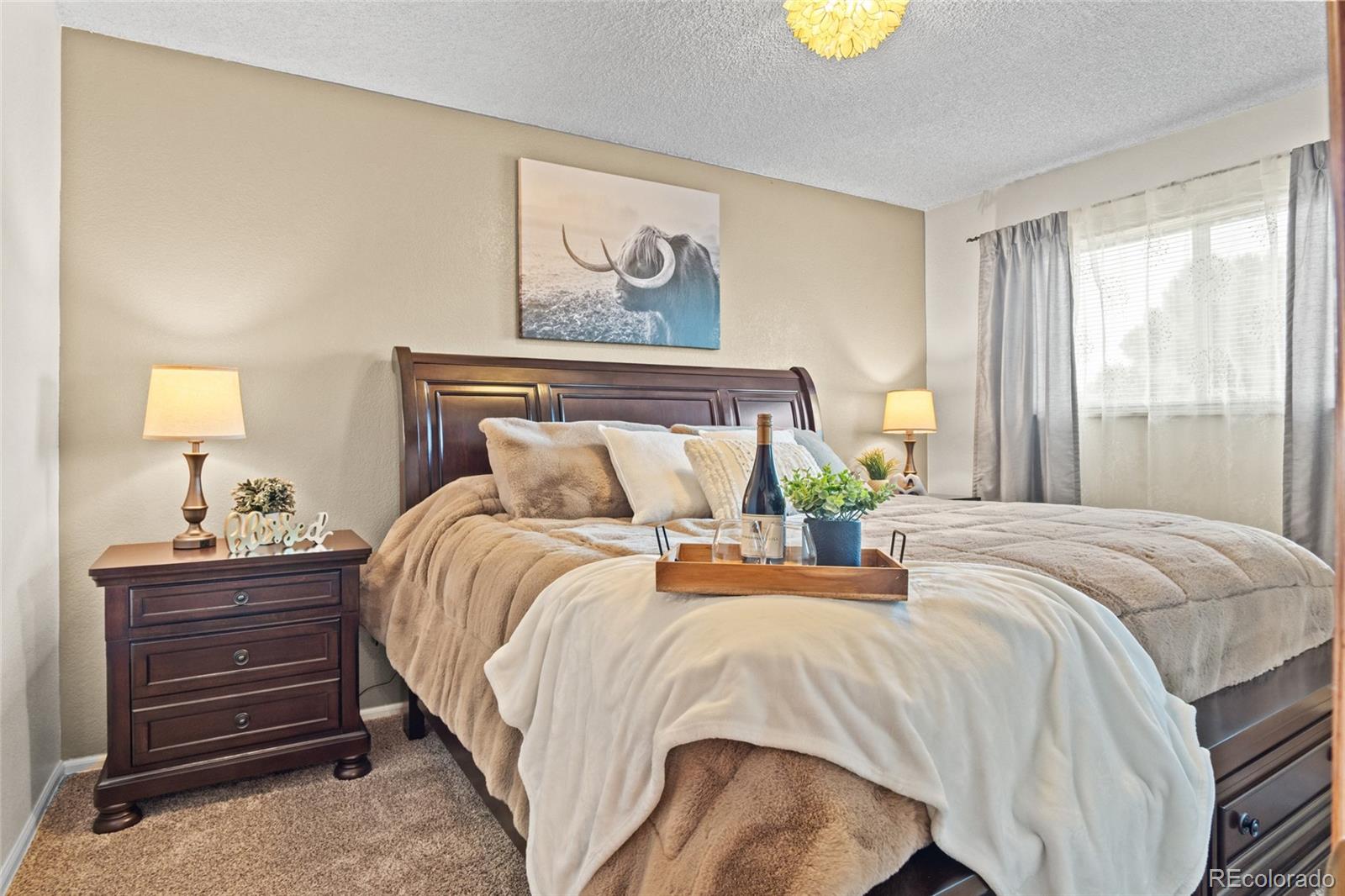 MLS Image #10 for 4610 s garrison street,littleton, Colorado