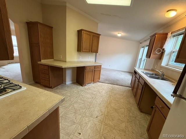 MLS Image #6 for 5 s wolff street,denver, Colorado