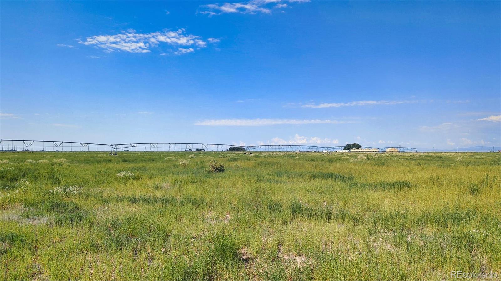 MLS Image #18 for 20520  cr 59 ,moffat, Colorado