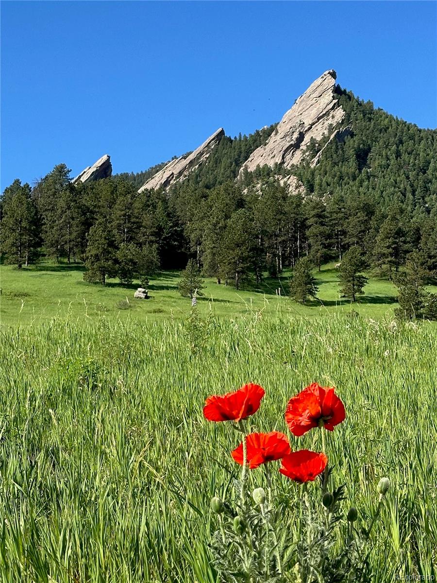 MLS Image #16 for 3343  cripple creek trail,boulder, Colorado