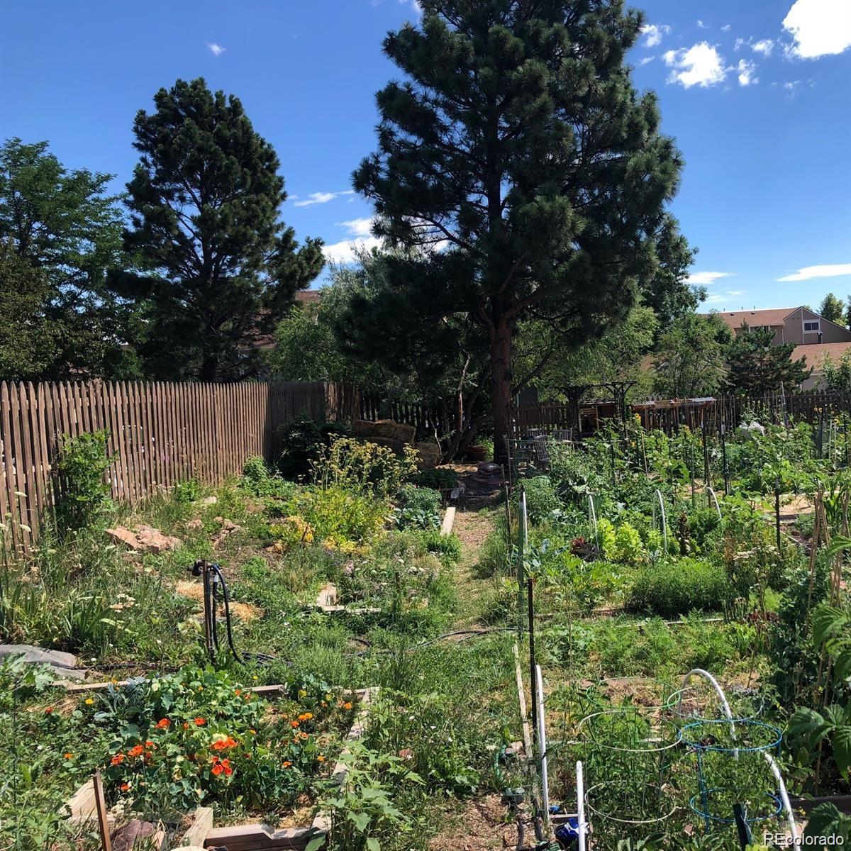 MLS Image #20 for 3343  cripple creek trail,boulder, Colorado