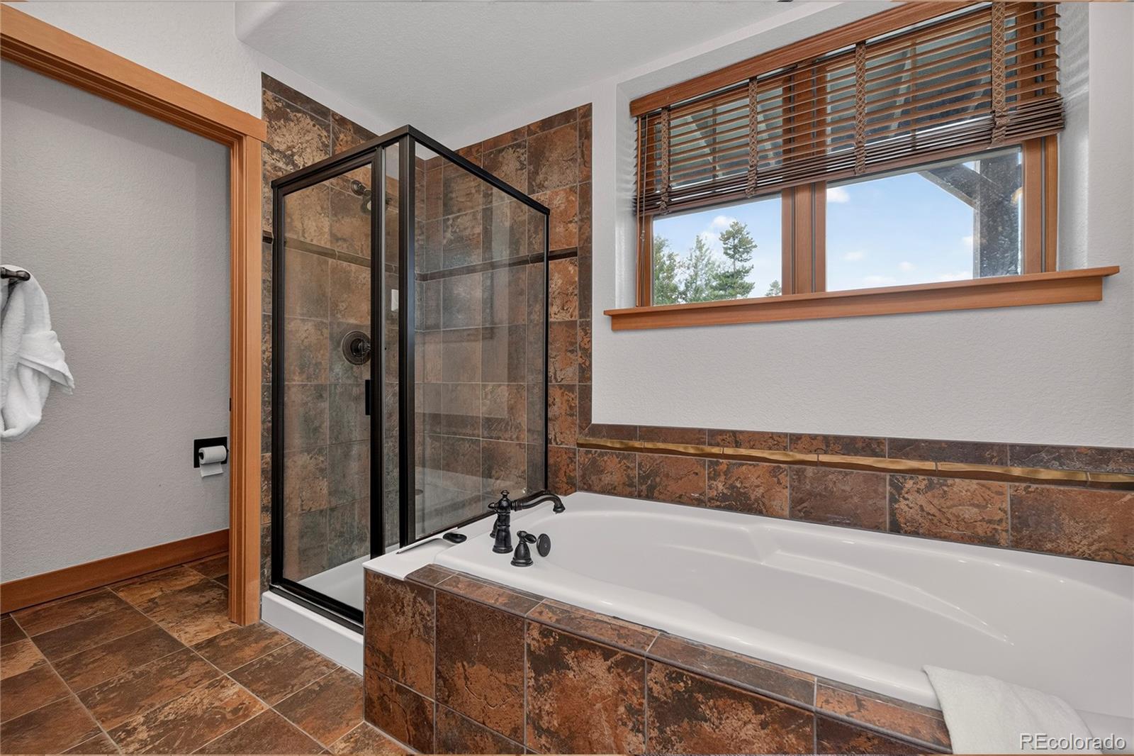MLS Image #12 for 1201  rendezvous road,fraser, Colorado