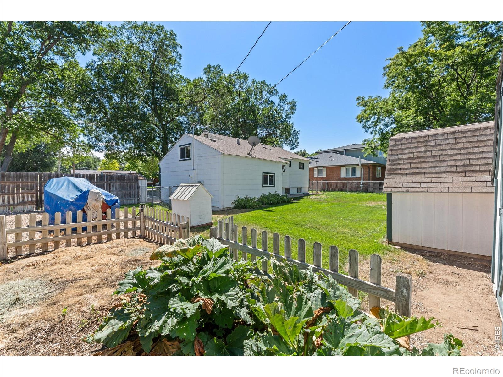 MLS Image #23 for 316  9th street,windsor, Colorado