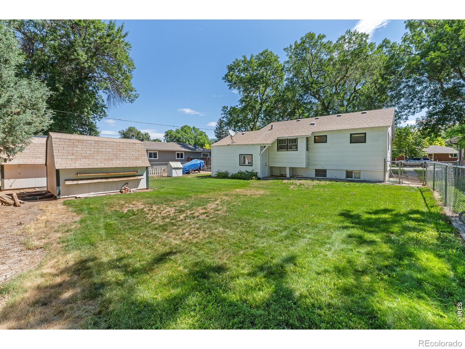 MLS Image #3 for 316  9th street,windsor, Colorado