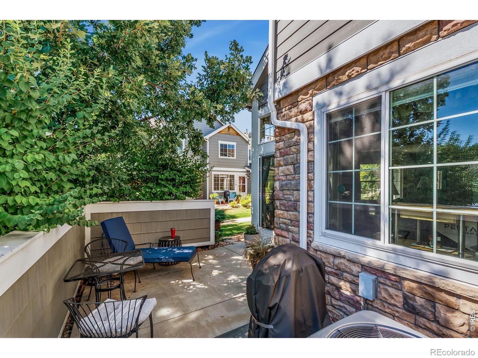 MLS Image #11 for 805  summer hawk drive,longmont, Colorado