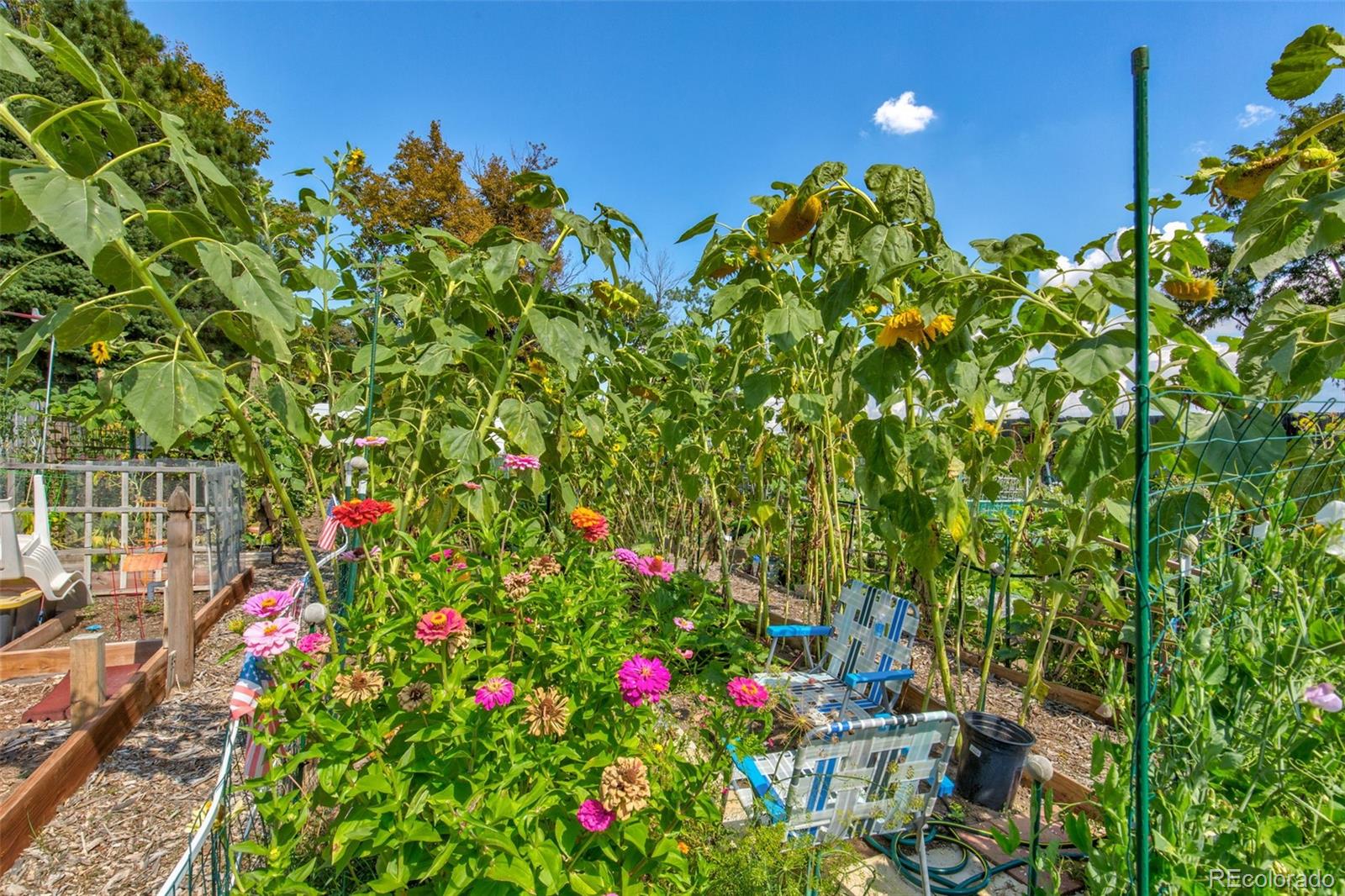 MLS Image #39 for 3184 s heather gardens way,aurora, Colorado