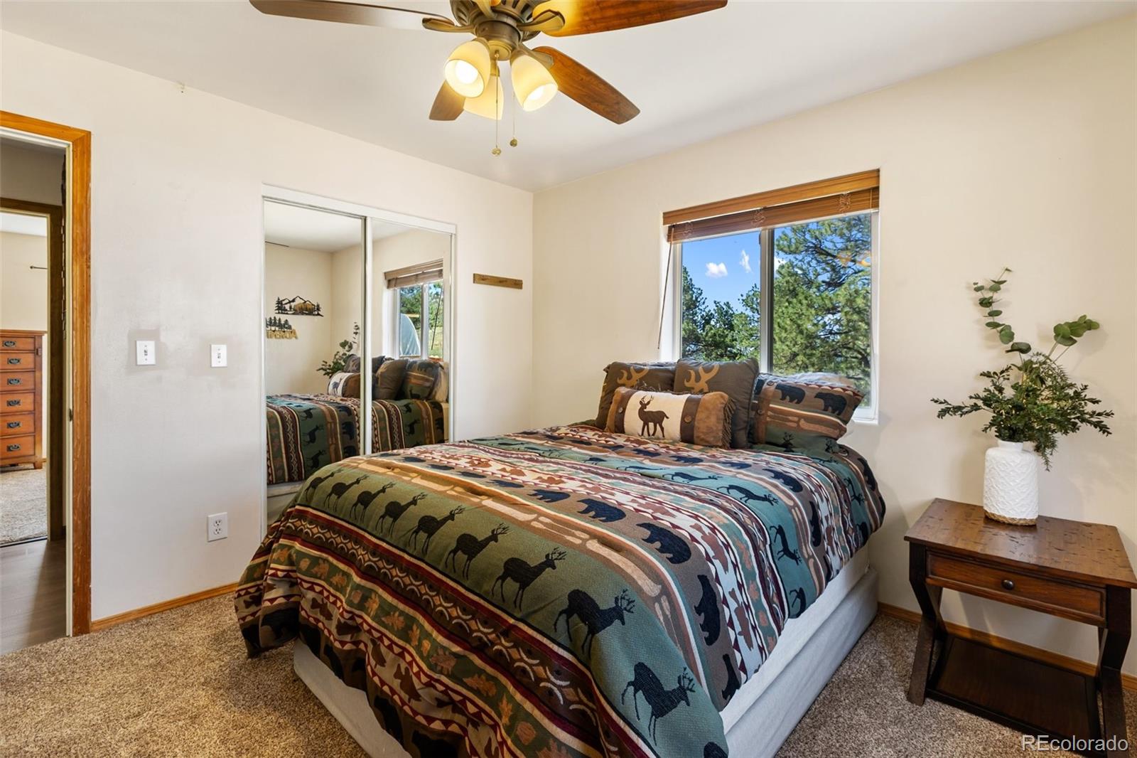 MLS Image #27 for 34  fetlock circle,florissant, Colorado