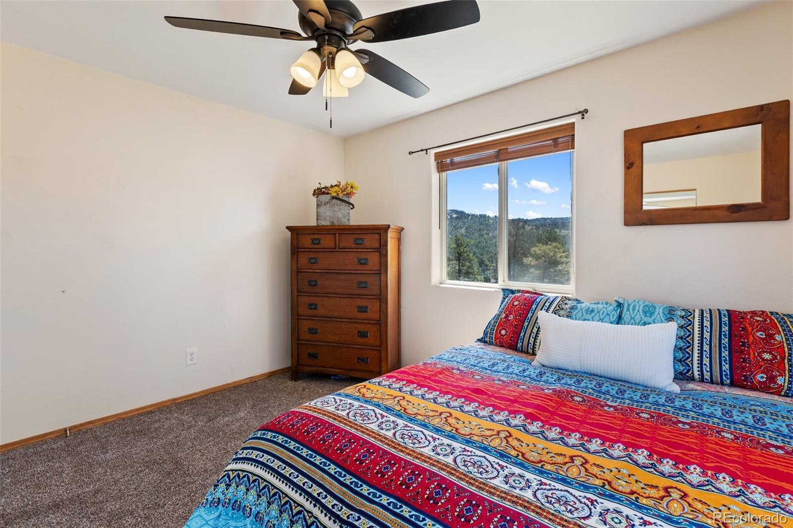 MLS Image #29 for 34  fetlock circle,florissant, Colorado