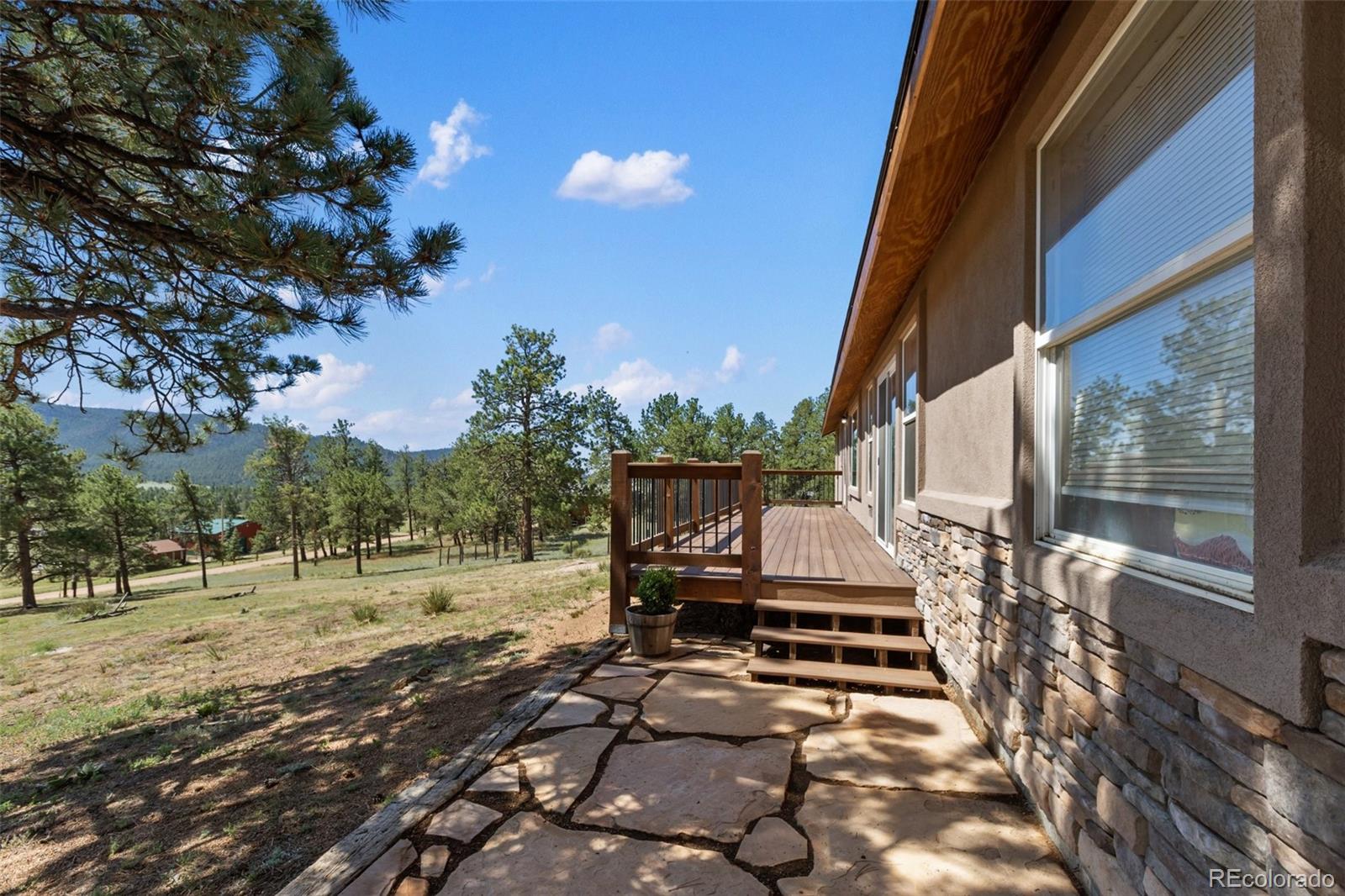 MLS Image #3 for 34  fetlock circle,florissant, Colorado
