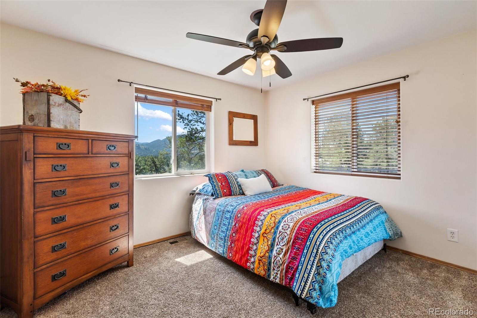 MLS Image #30 for 34  fetlock circle,florissant, Colorado