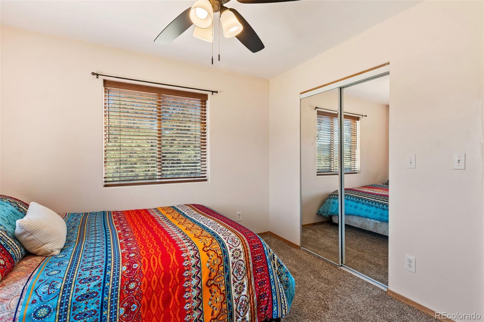 MLS Image #31 for 34  fetlock circle,florissant, Colorado