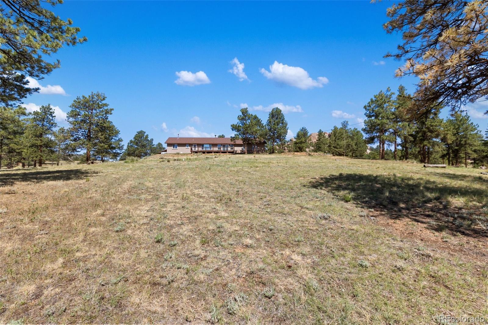 MLS Image #42 for 34  fetlock circle,florissant, Colorado