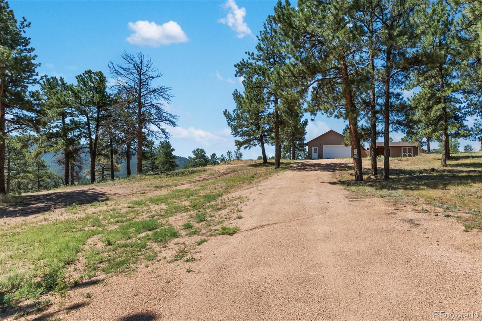 MLS Image #44 for 34  fetlock circle,florissant, Colorado