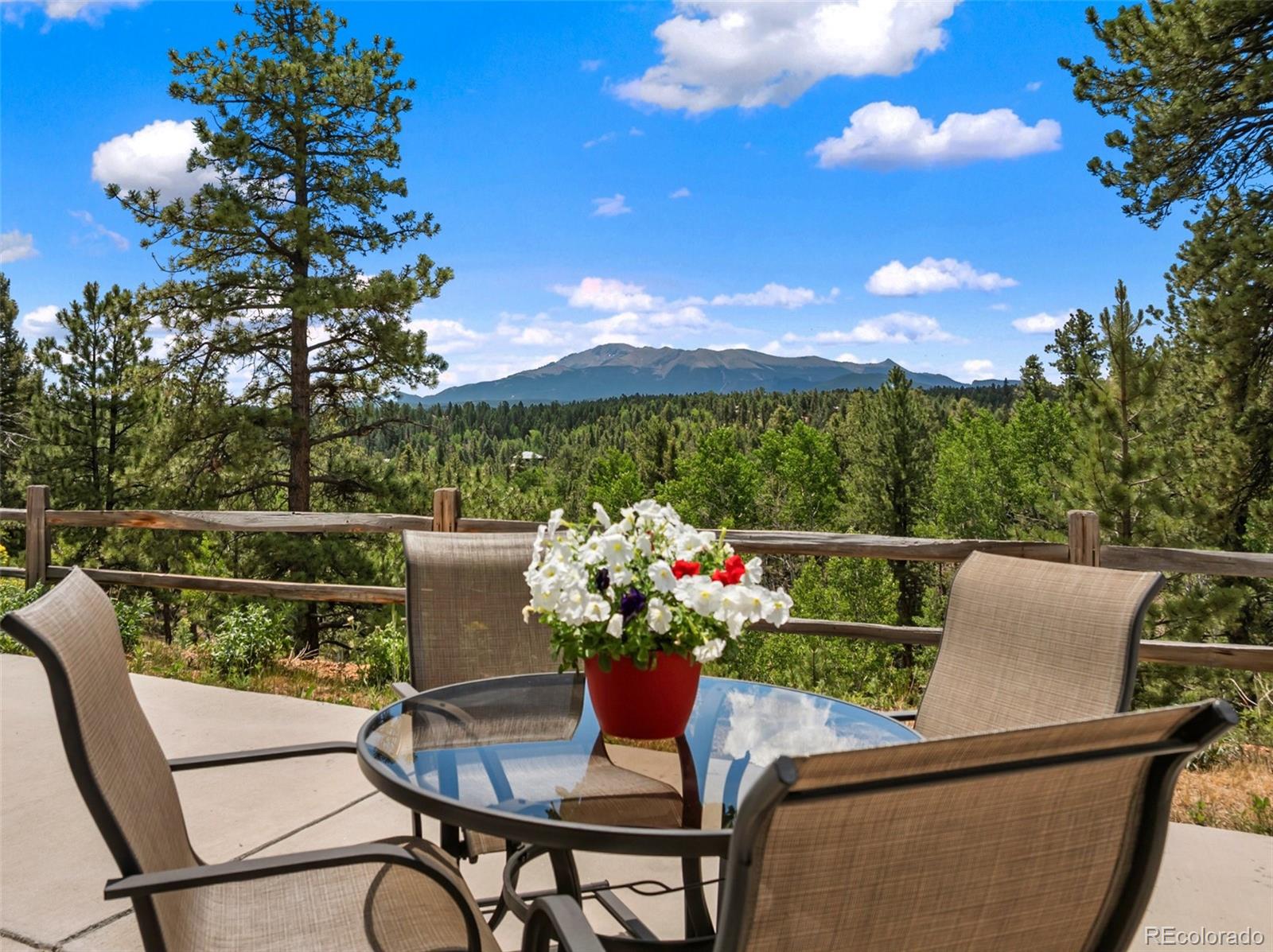 MLS Image #20 for 5542  north road,divide, Colorado