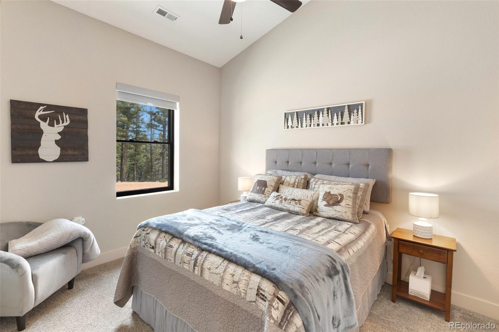 MLS Image #29 for 5542  north road,divide, Colorado