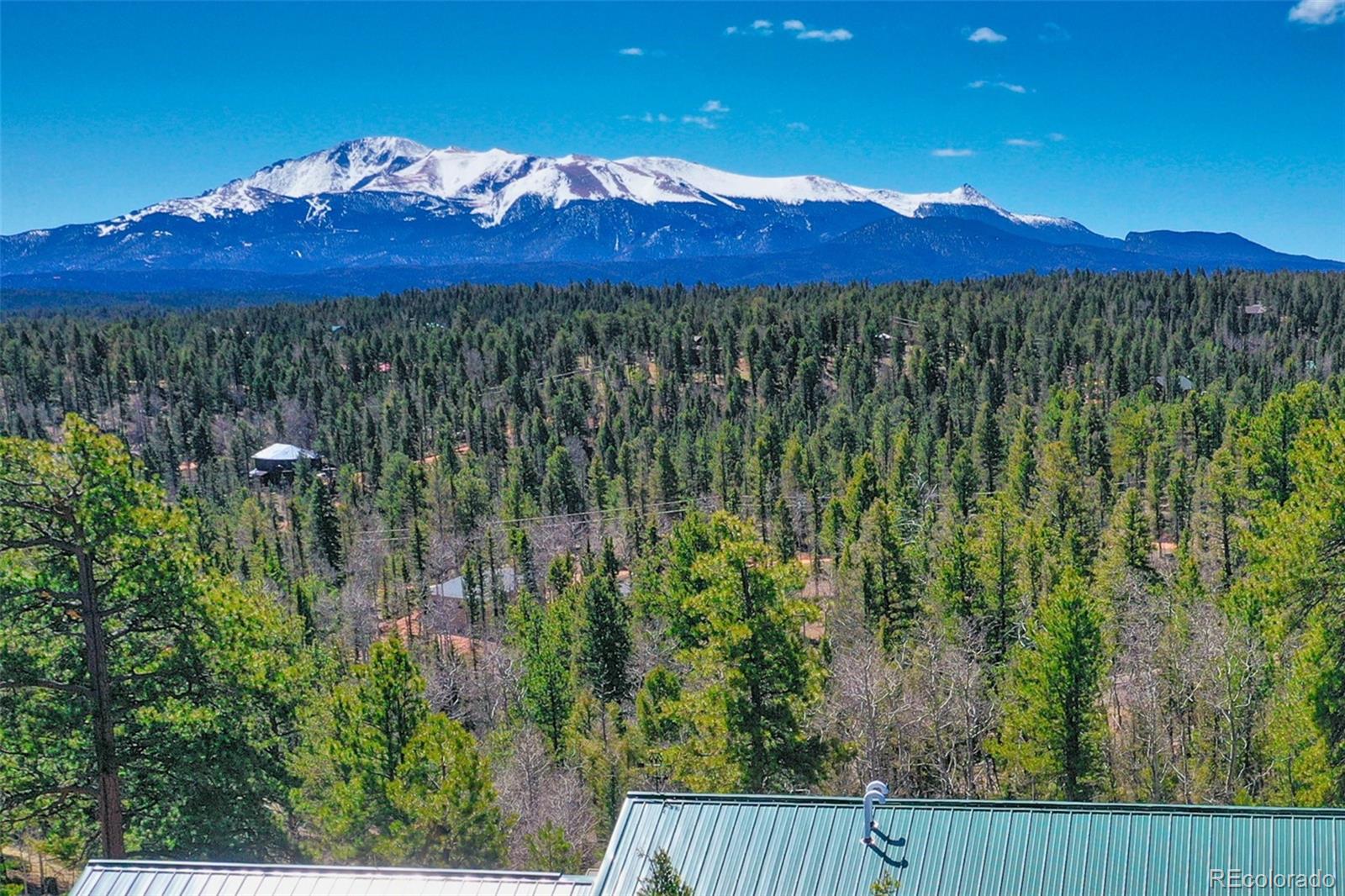 MLS Image #3 for 5542  north road,divide, Colorado