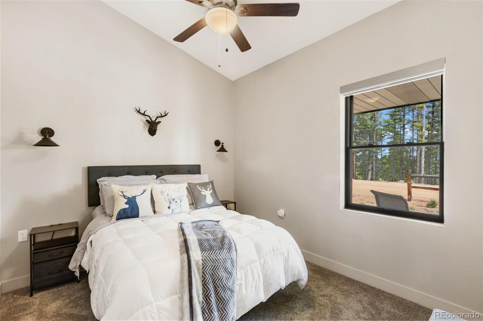 MLS Image #33 for 5542  north road,divide, Colorado