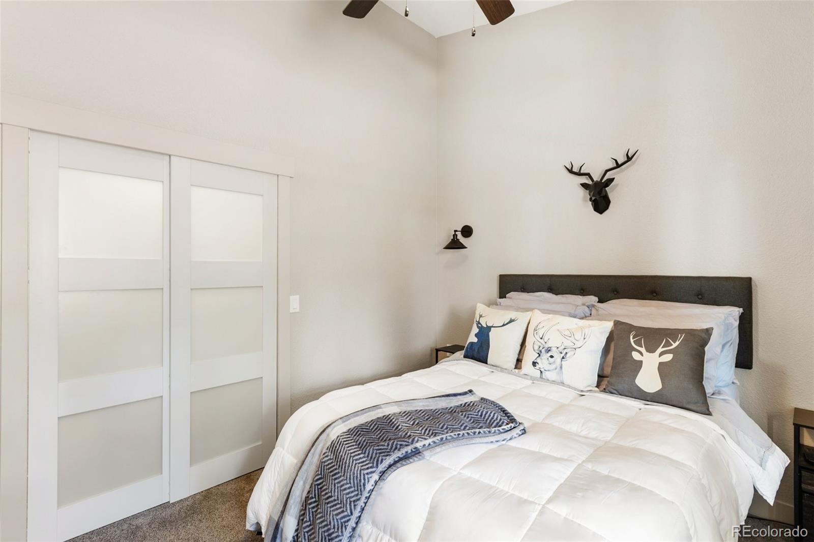 MLS Image #34 for 5542  north road,divide, Colorado