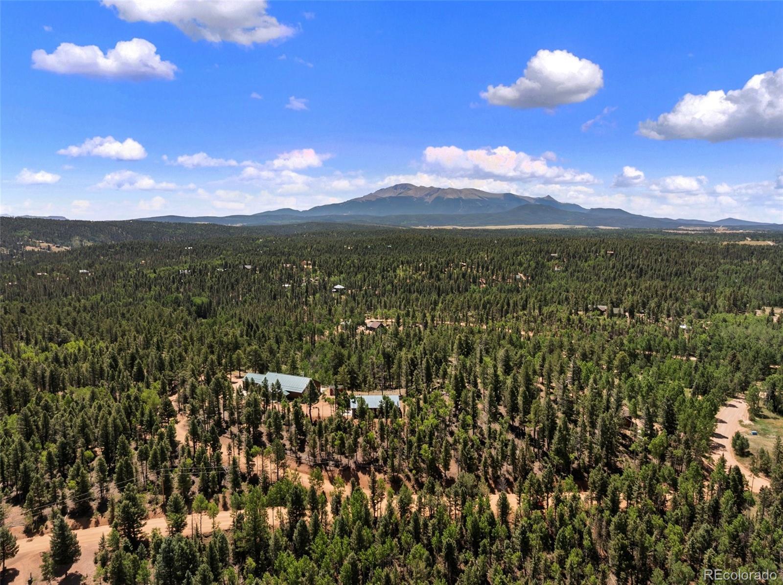 MLS Image #46 for 5542  north road,divide, Colorado