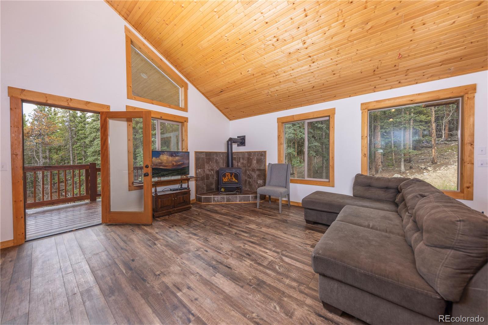 MLS Image #1 for 1034  venture road,fairplay, Colorado